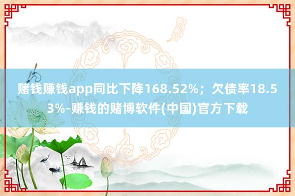 赌钱赚钱app同比下降168.52%；欠债率18.53%-赚钱的赌博软件(中国)官方下载