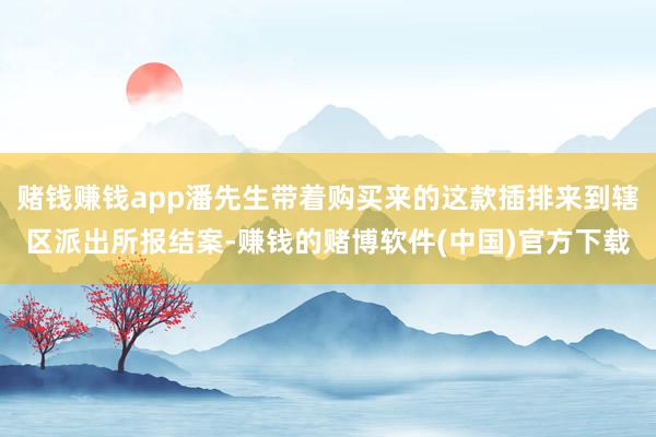 赌钱赚钱app潘先生带着购买来的这款插排来到辖区派出所报结案