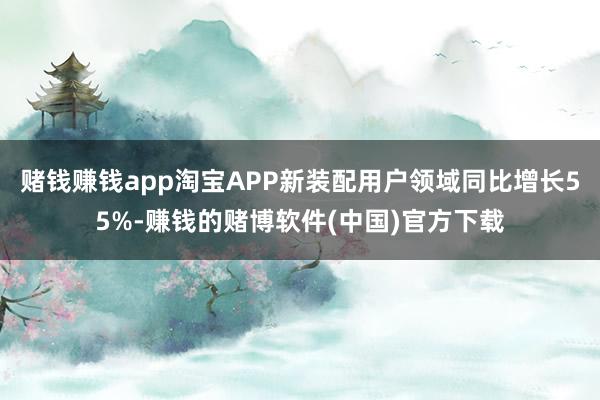 赌钱赚钱app淘宝APP新装配用户领域同比增长55%-赚钱的
